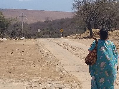 Territorial transformations in Wayuu territory due to the Cerrejón coal mine. What looks like a mountain in the background is the debris removed from the mine. Near to the community of Provincial in La Guajira. Source: Astrid Ulloa, July 2019.