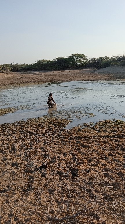 Young girls are responsible for collecting water from the spring. From a young age, women develop a close relationship with water. Source: Astrid Ulloa, April 2024.