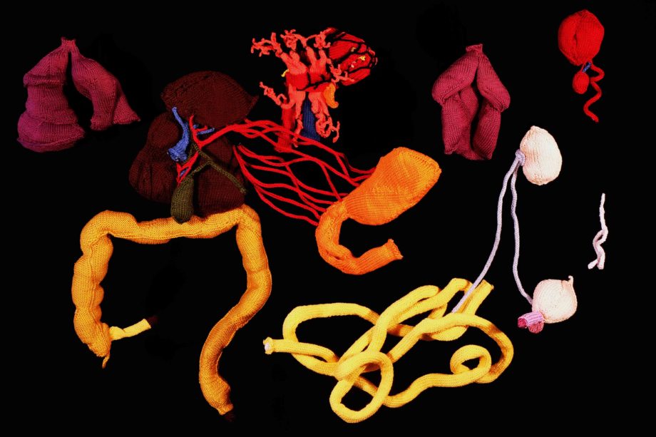 Knitted organs as a homage to the Buryat physician Dondup Endonov (1870-1937?) and his reforms in the medical curriculum at Atsagat Monastery (2022)
