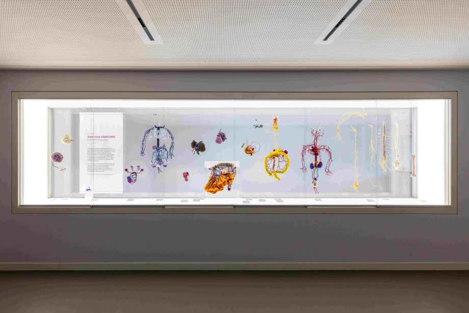 Interventions I: Knitted Anatomy in the huge display cabinet