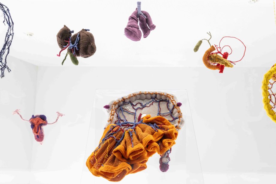 “Liver with the gallbladder”, installed left to the object “pancreas with gallbladder” above the intestines