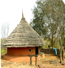 Life-size reconstructed dwelling complex of the Gadba tribe from Odisha at the Tribal Habitat, Indira Gandhi Rashtriya Manav Sangrahalaya (IGRMS), Bhopal, demonstrating indigenous architectural traditions adapted to the local environment.