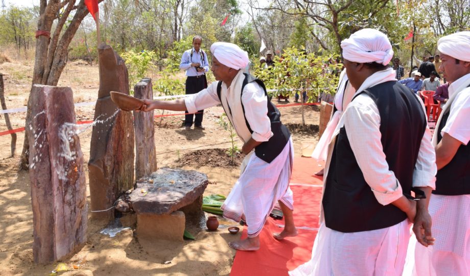 Recreated sacred groves exhibit at IGRMS with ritual boundary markers and offerings. Sacred Groves of Sarna Jharkhand and Chhattisgarh.